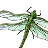 dragonfly