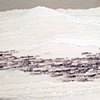 Catch and Release (Detail)