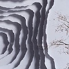 Cloud Chamber