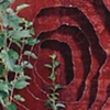 Introjection: Window