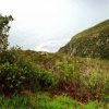 Chapman's Peak Picturesque