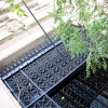 15th & Chestnut Building