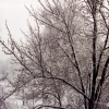 Snow Day II