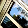 Phoenix Reflection