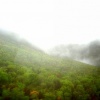 Chapman Fog