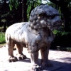 Lion Statue