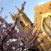 Church VI
