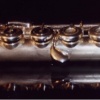 The Flutist