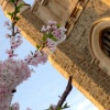 Church III