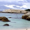 Penquin by the water