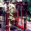 Bell