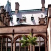 Palm Windows