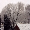 Snow Day I