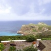 View to the Water- Chapman's Peak