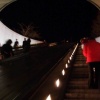 Red Traveler