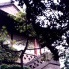 Another Side of the Pagoda