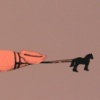 Giant Squid
