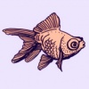 Fish fish