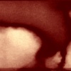 bloodrain (still)