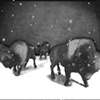 buffalo (still)