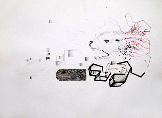 WILD TERRITORIES 