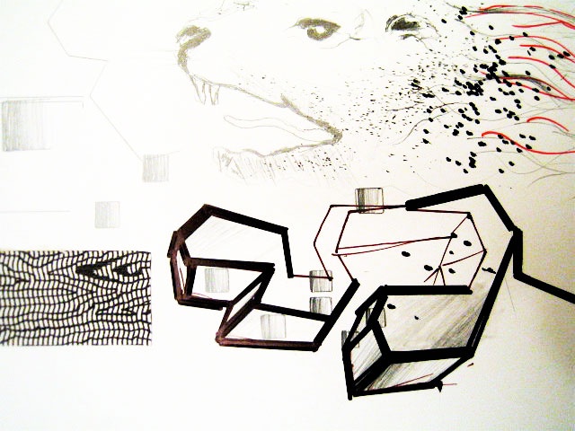 WILD TERRITORIES [ DETAIL ]
