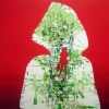 LITTLE_RED_HOODIE