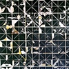 RICE_COLORFIELD_ #1 [DETAIL ]