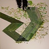 The Green Ray
