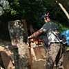 Chainsawing