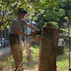 Chainsawing