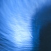cerulean quaverer