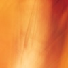 Corporeal Milieu 3