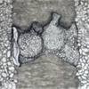 Material Landing