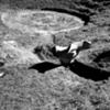 Culbreth Bowl, site-work