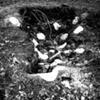 Material Landing, 150lbs from Gowanus to Charlottesville (Culbreth Plates)