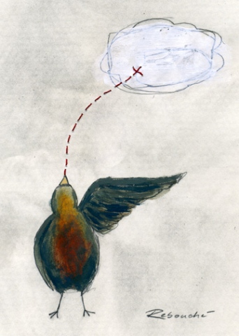 Bird Path