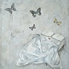 Butterflies in Bed