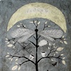 Pigeon Moon