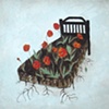 Poppy Bed