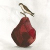 Pear Sparrow