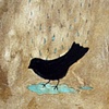 Rain Down