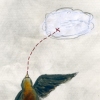Bird Path