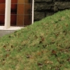 Detail 1: Chapel Hill