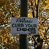 Please Curb Your Dog
