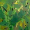 Elm II