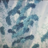 Blue Feather Wall