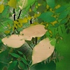 Green Ash