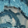 Blue Feather Wall