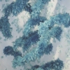 Blue Feather Wall